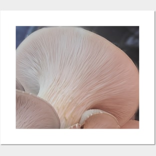 Oyster Mushroom Gills3 Posters and Art